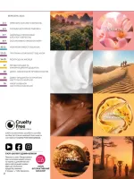 focus on business 69 2026